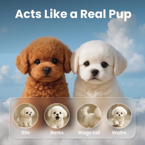 Woofy Dog Toy image