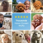 Woofy Dog Toy image